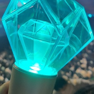 (ONE) SHINee- OFFICIAL LIGHT STICK